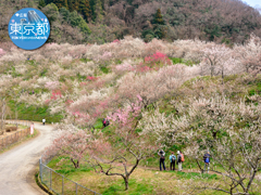 3月号壁紙サムネイル