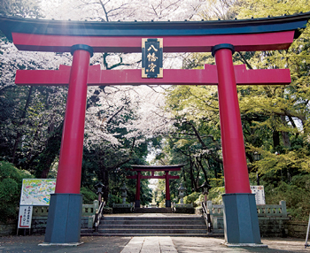 鳥居の写真