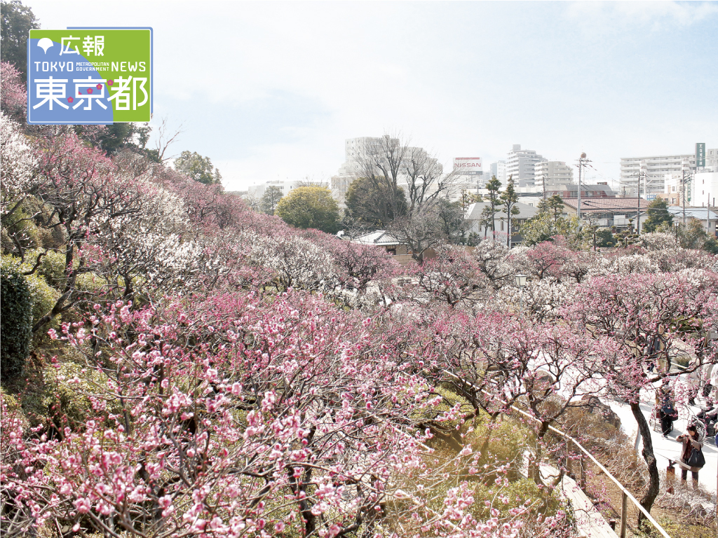 パソコン用壁紙 東京都