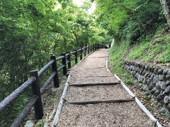 遊歩道の写真