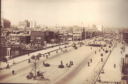 昭和通りの過去の写真