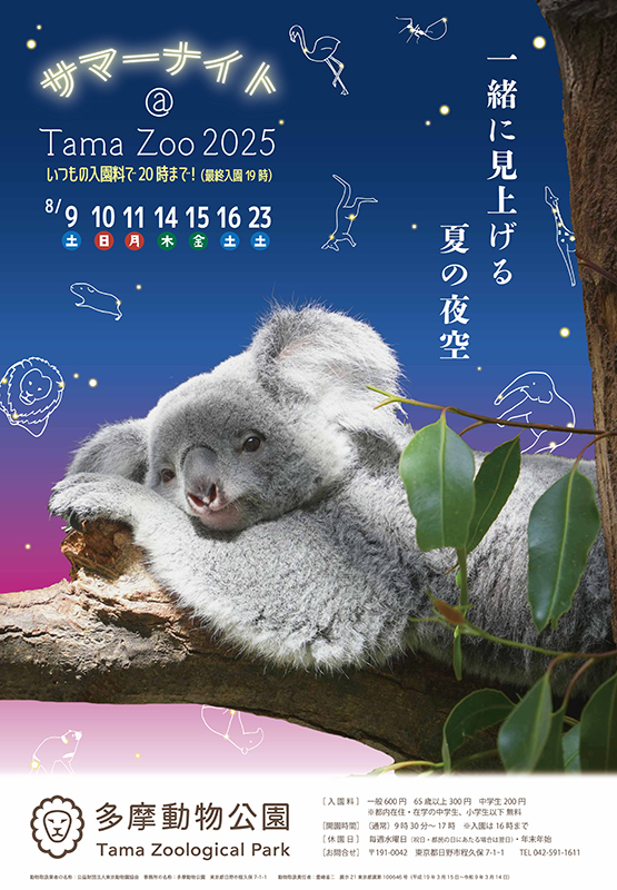 チラシ画像