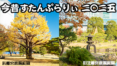 イメージ画像