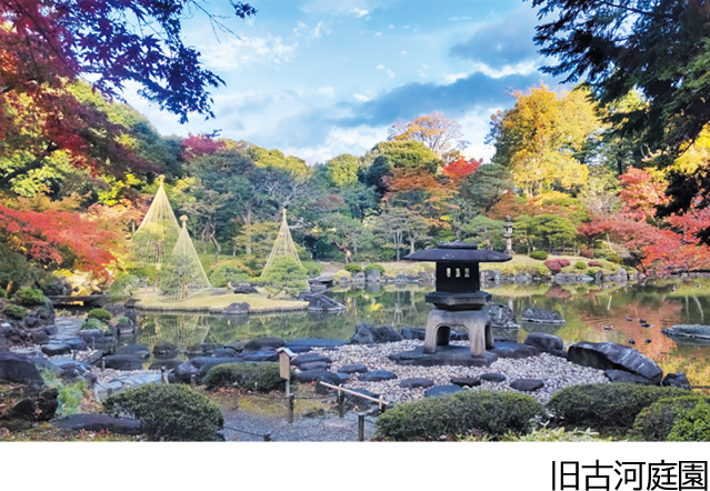 旧古河庭園