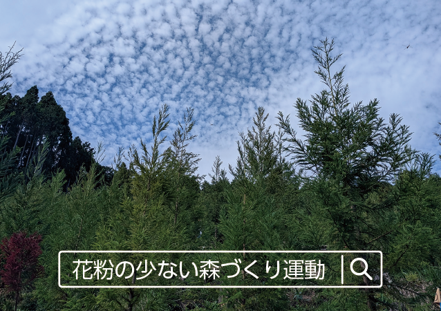 花粉の少ない森づくり運動