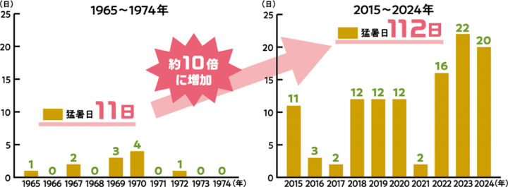 猛暑日の日数比較（10年間）