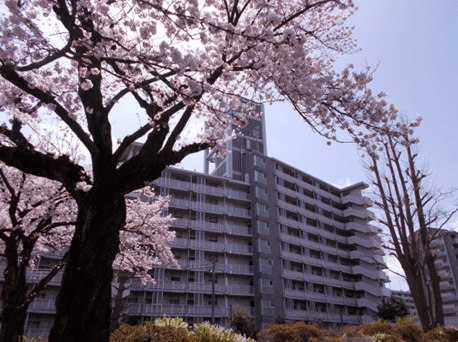 都営住宅の写真