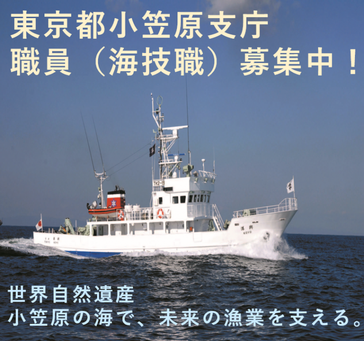 職員募集のイメージ画像