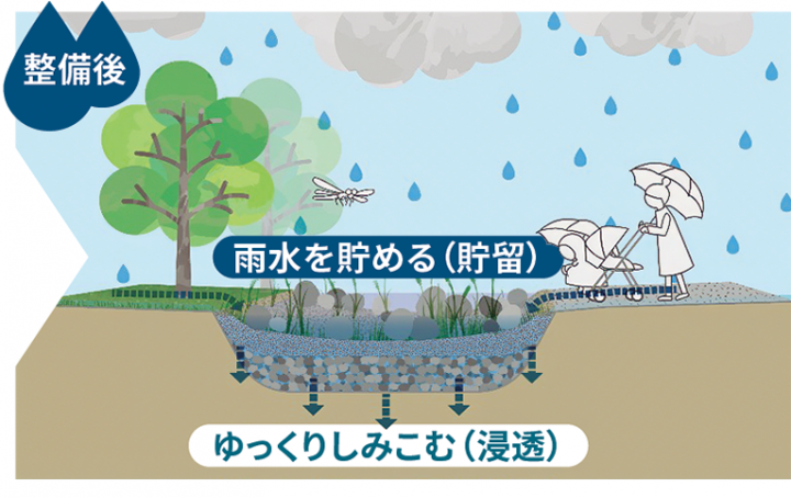 整備後は雨水を貯める(貯留)、ゆっくりしみこむ(浸透)