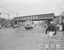 狩野川台風の大雨で道路も川に