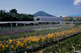 4@iKj@@t[WA