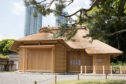 「浜離宮恩賜庭園　「鷹の御茶屋」の復元」の写真です