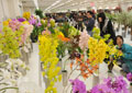 The 58th Kanto-Tokai Flower Exhibition