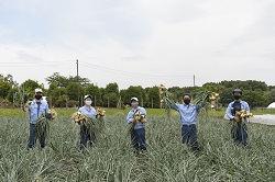 研修生全員の画像