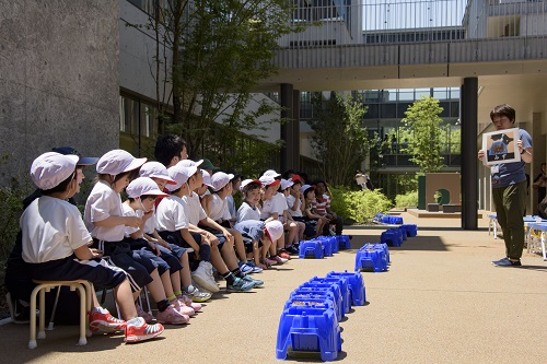 小学部1年生の種まき