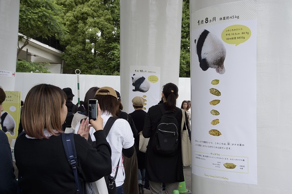 展示された制作物は、会期後に動物園HPで公開を予定している