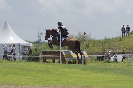 障害を飛ぶ人馬の写真1