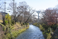 玉川上水の画像