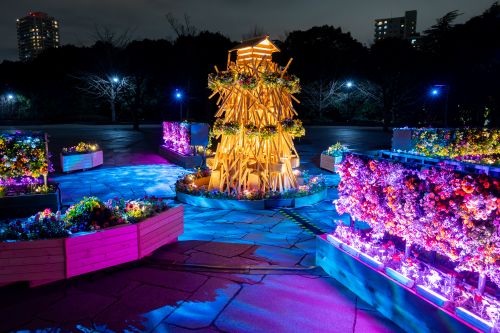 花と光のムーブメント