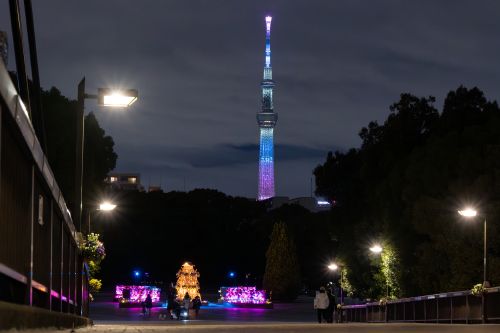 東京スカイツリーと木場公園