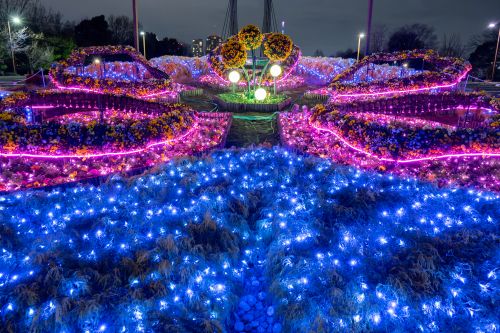 花告げる木場の春しるべ