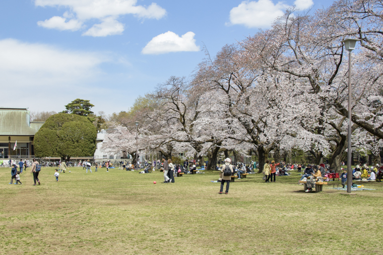 小金井公園3