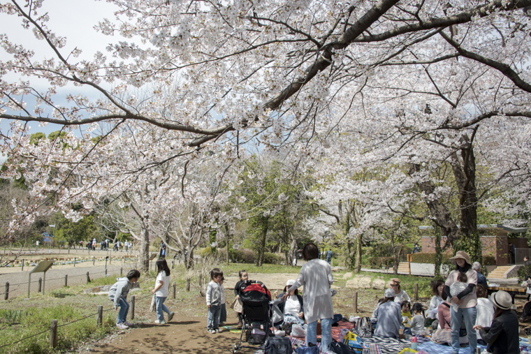 神代植物公園4