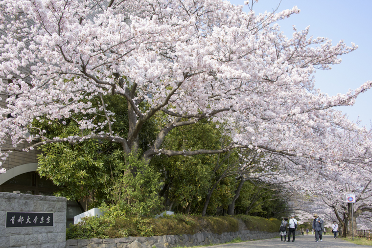 首都大学東京1