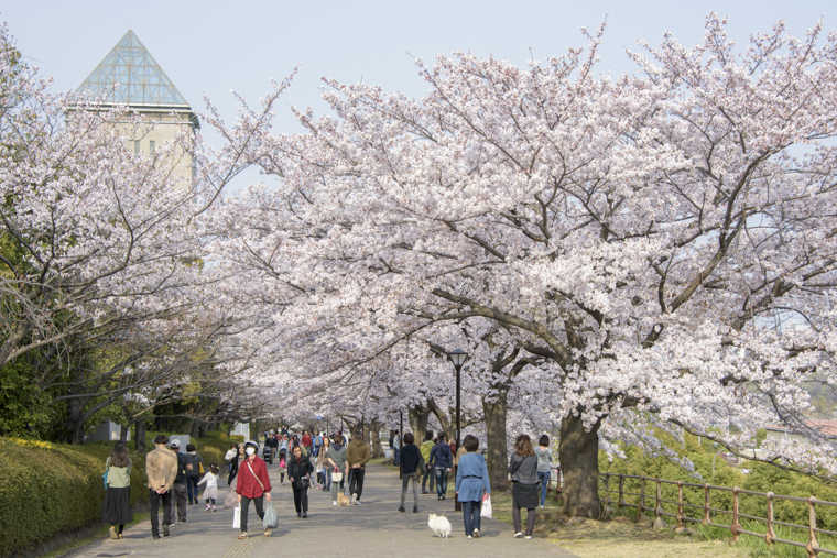 首都大学東京5