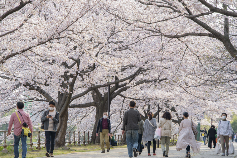 首都大学東京2