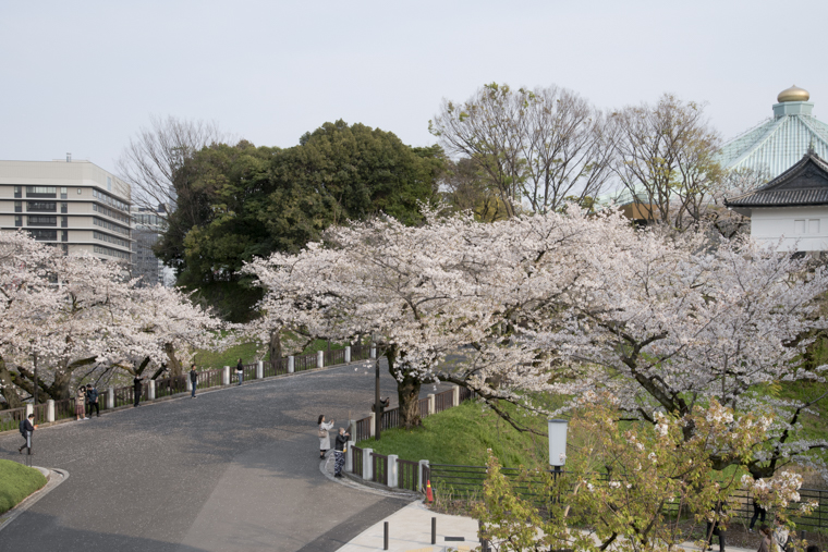 chidorigafuchi2