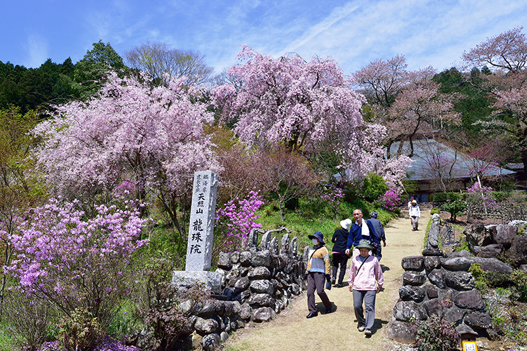 20150402