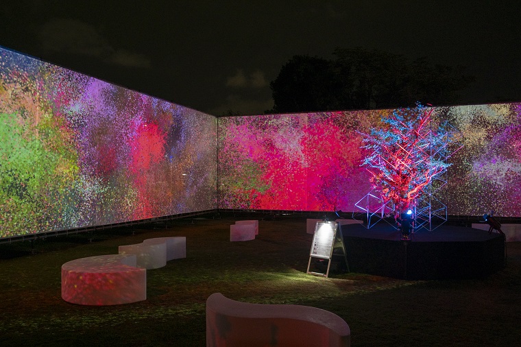 Photo: A space where ikebana and projection mapping were linked