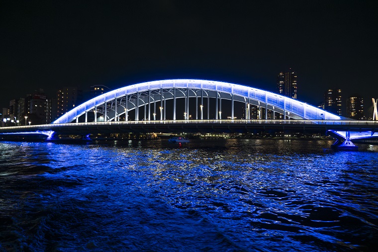 Photo 2: Night view during boat ride at night