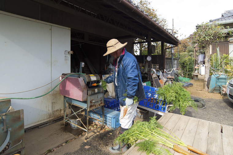 馬込三寸にんじん_06