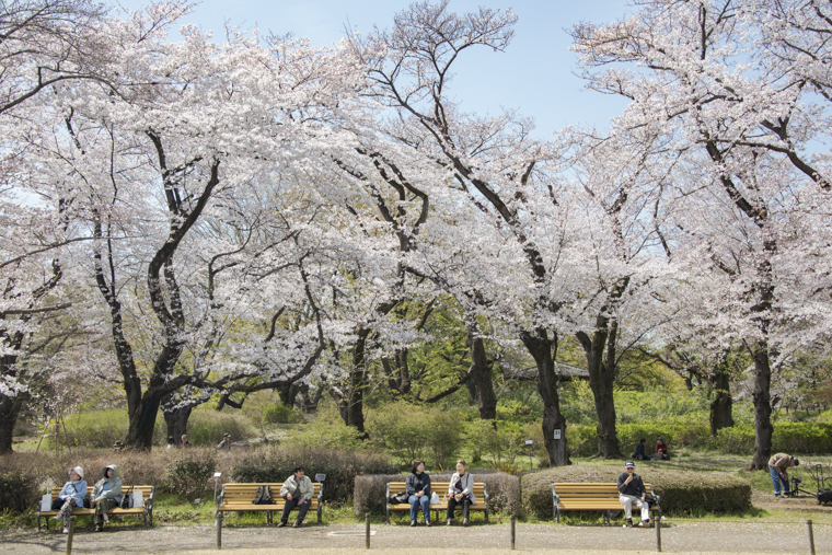 神代植物公園1