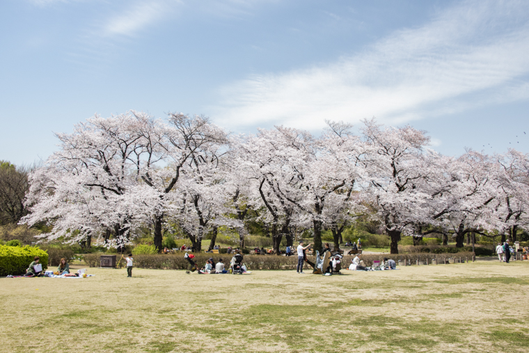 神代植物公園2