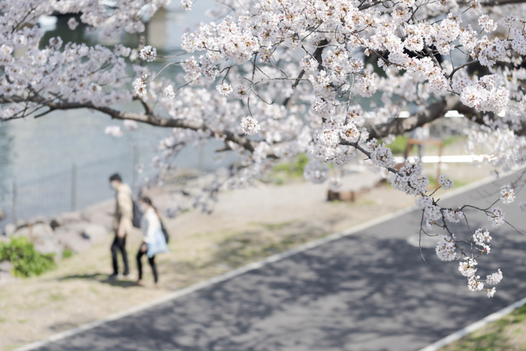 お台場海浜公園1