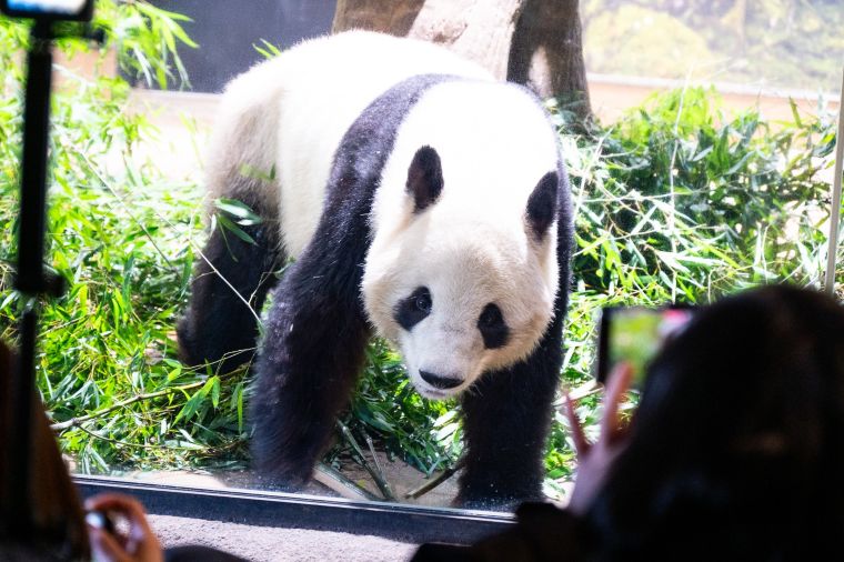 レイレイの写真